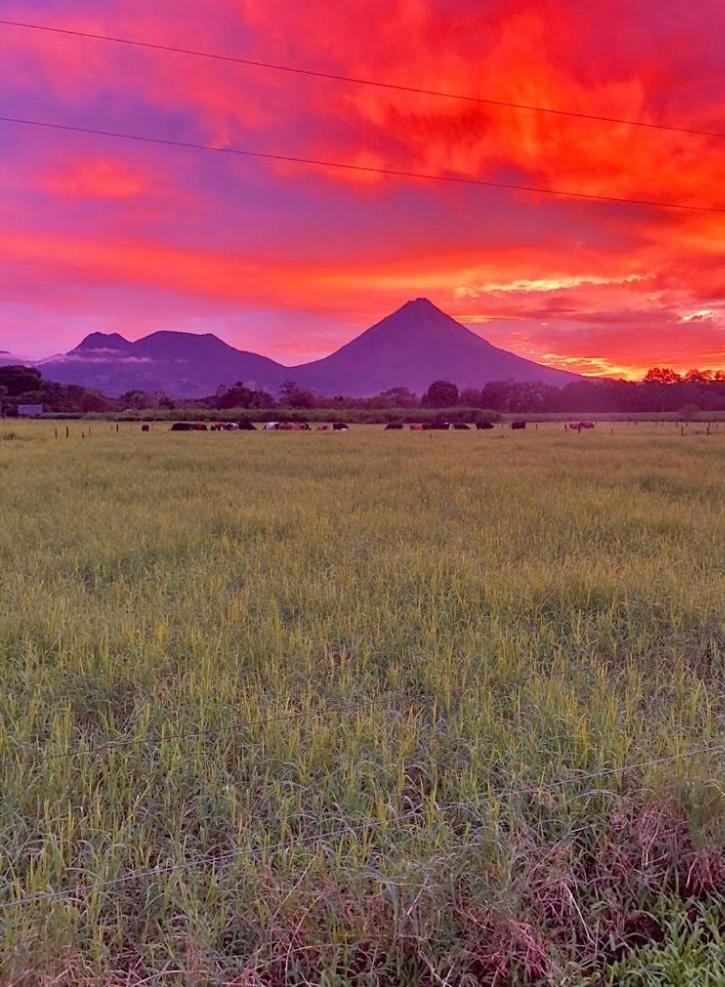Hotel Befox Adventure La Fortuna Exteriér fotografie