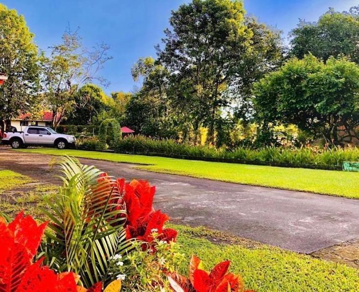 Hotel Befox Adventure La Fortuna Exteriér fotografie