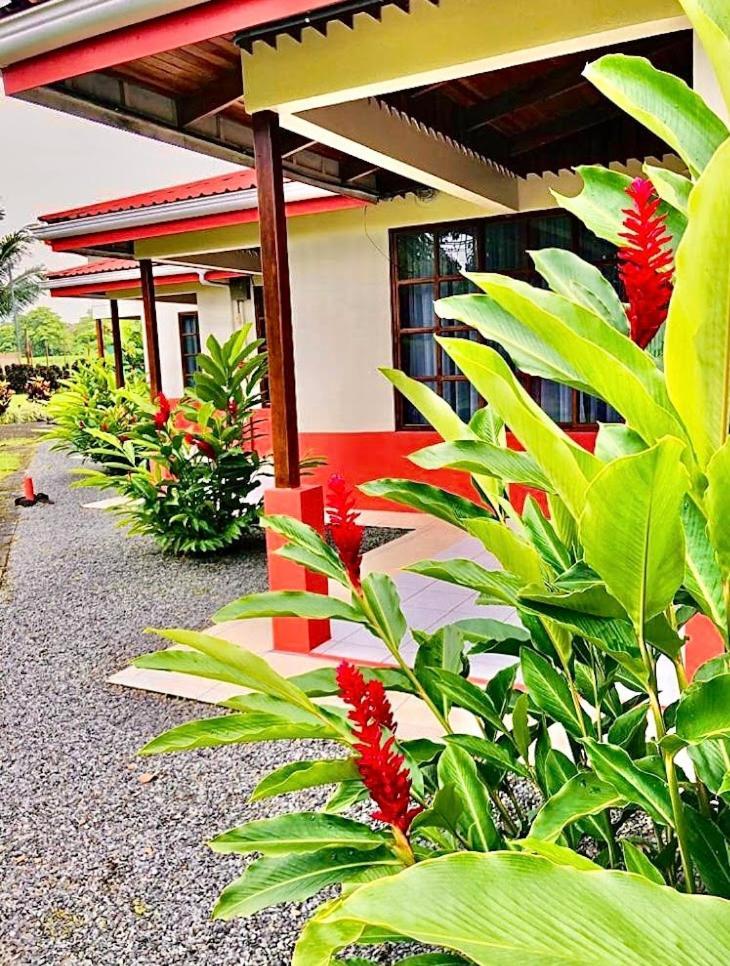 Hotel Befox Adventure La Fortuna Exteriér fotografie