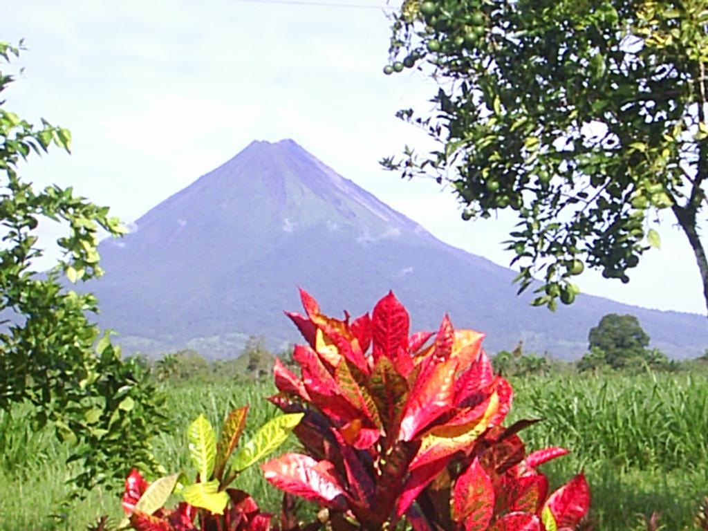 Hotel Befox Adventure La Fortuna Exteriér fotografie