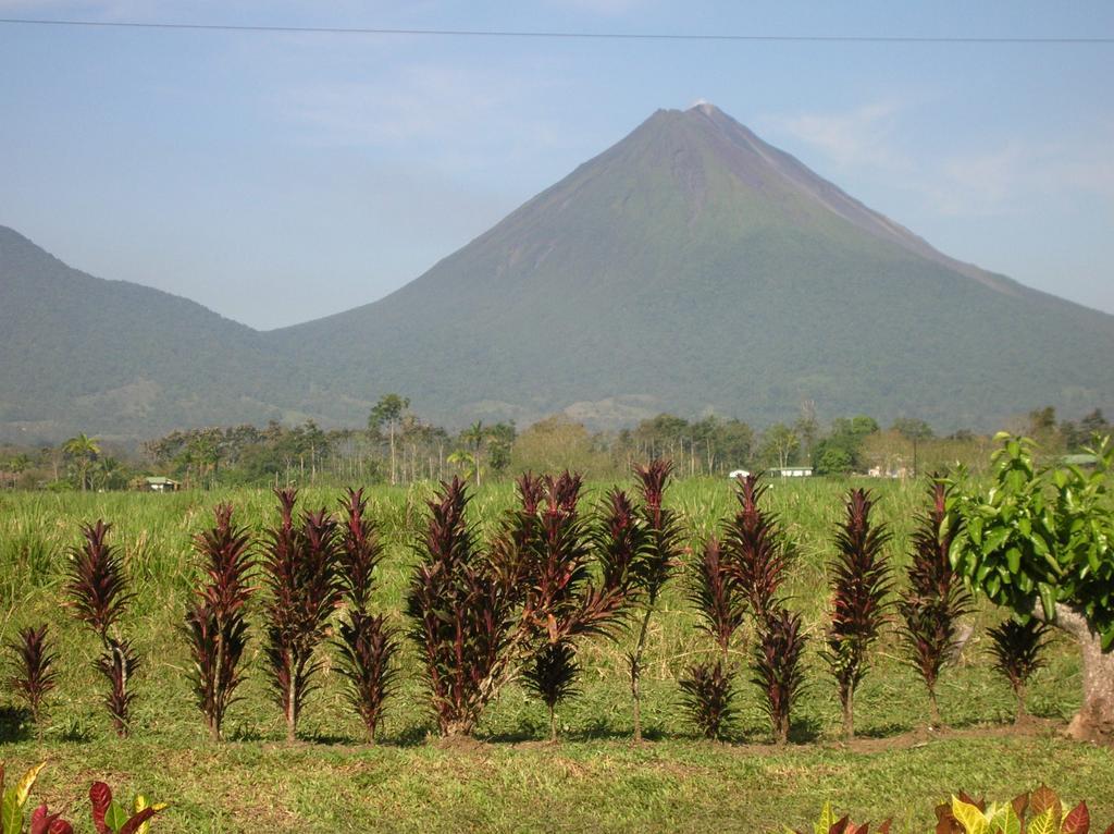 Hotel Befox Adventure La Fortuna Exteriér fotografie